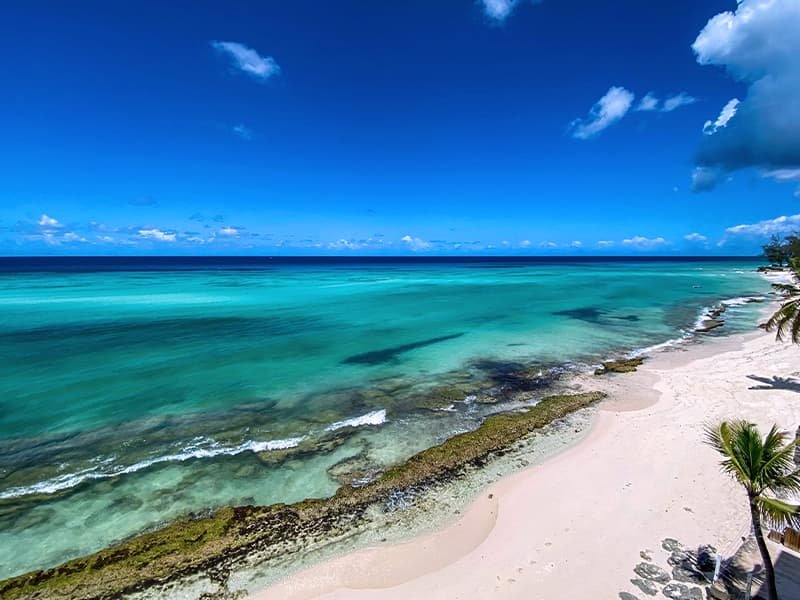 Overlooking the beach in Barbados