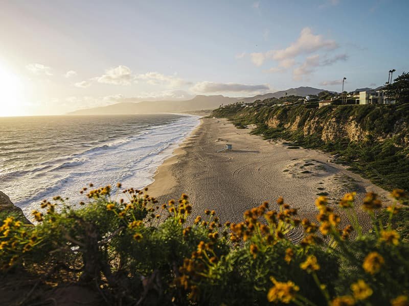 Overlooking the beach from a hilltop in California