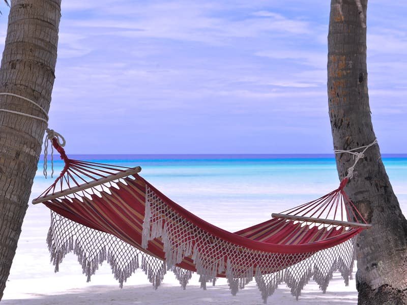 a hammock between two trees on the beach overlooking the ocean