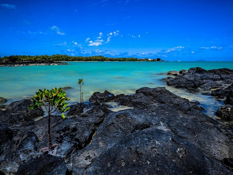 Overlooking the ocean in Mauritius, Africa