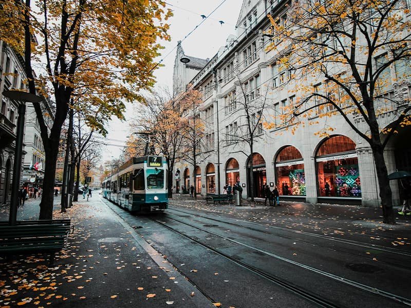 A street with fallen autumn leaves in Zurich, Switzerland